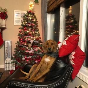 Meet your Posher, Tam